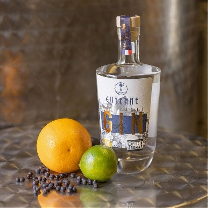 GIN Fruité 70cl