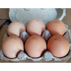Œufs bio (2 boîtes de 6 œufs)