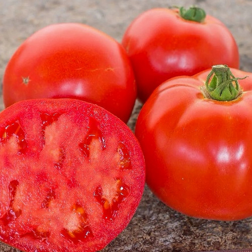 Tomate Merveille du Marché...