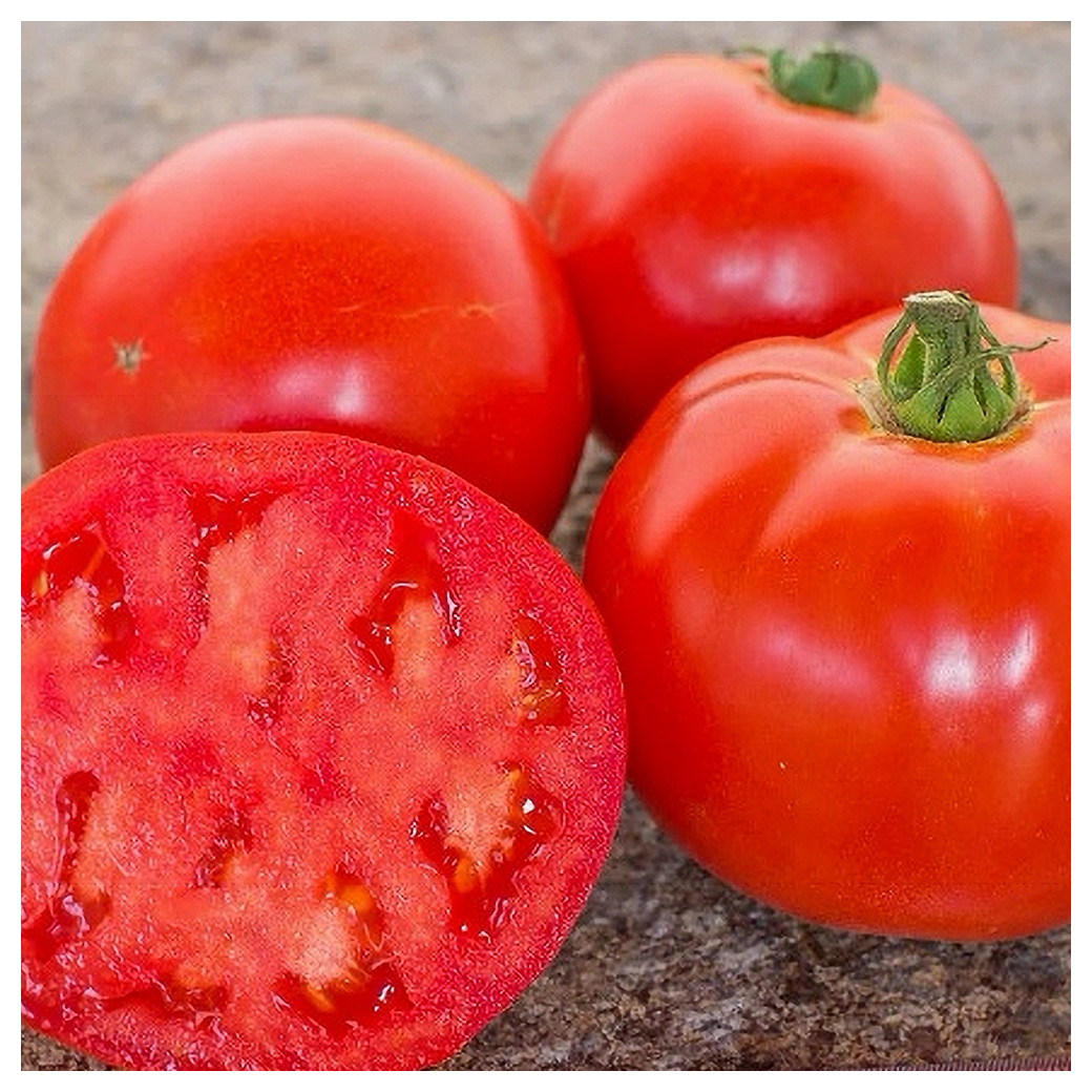 Tomate Merveille du Marché BIO - 1Kg