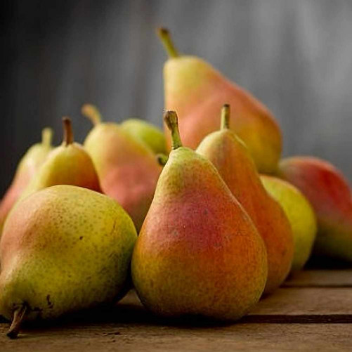 Poire Guyot - barquette 1Kg