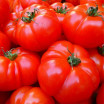 Tomates rondes 1Kg