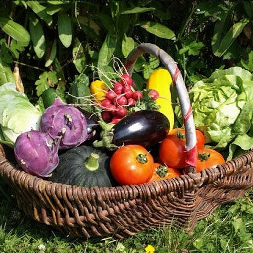 Le Grand Panier de légumes...