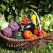 Le Grand Panier de légumes Bio de saison