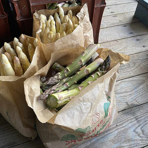 Asperges Vertes - 1Kg