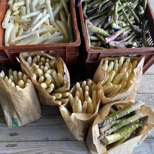 Asperges Vertes - 1Kg