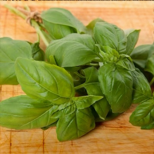 Basilic Bio - Botte de 60g