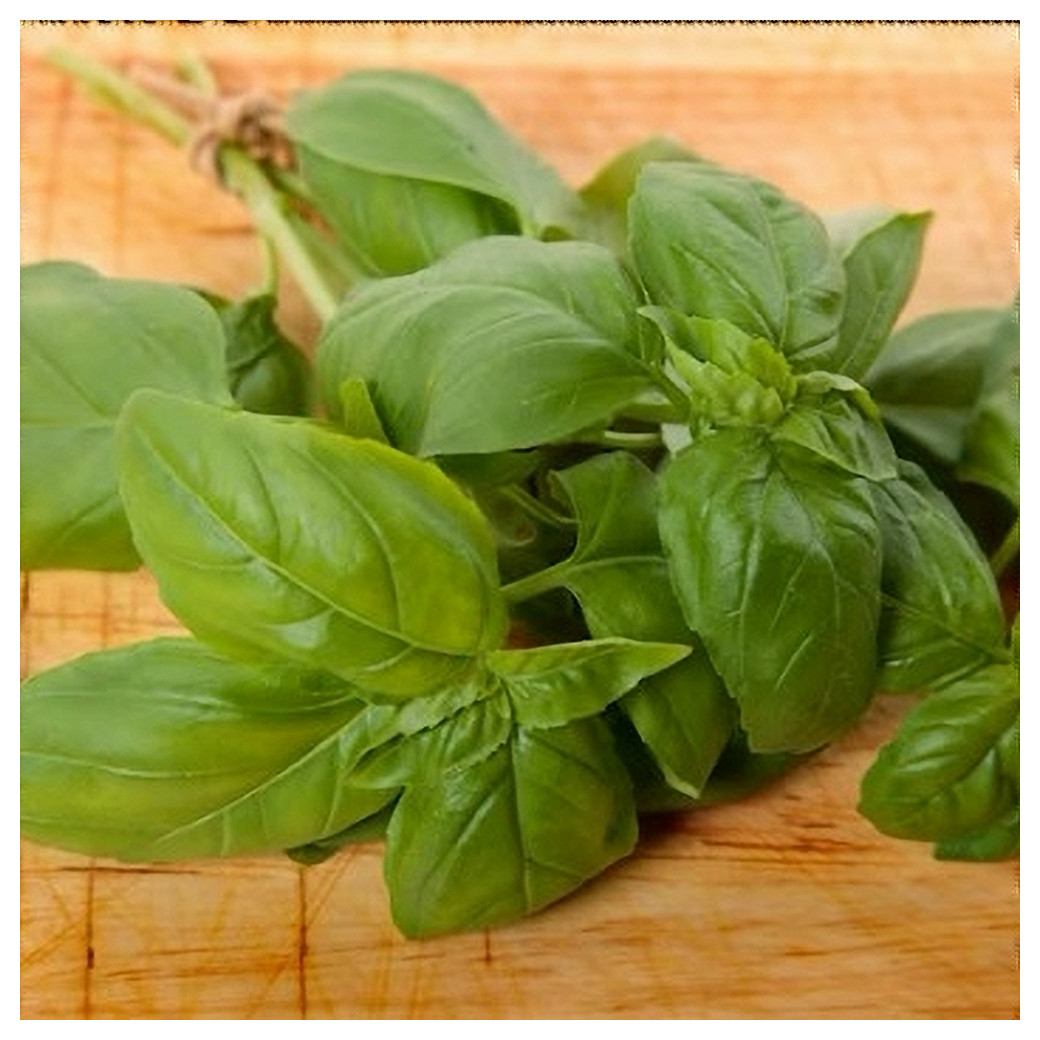 Basilic Bio - Botte de 60g