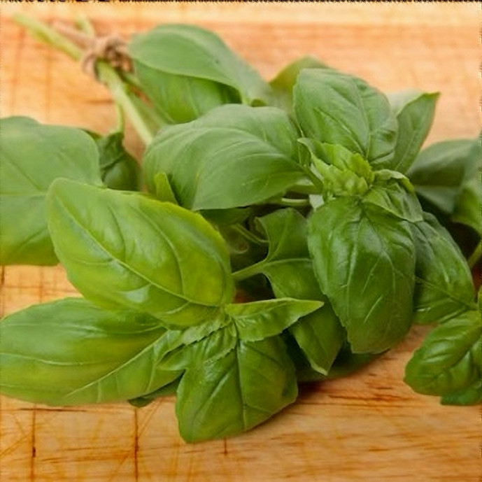 Basilic Bio - Botte de 60g