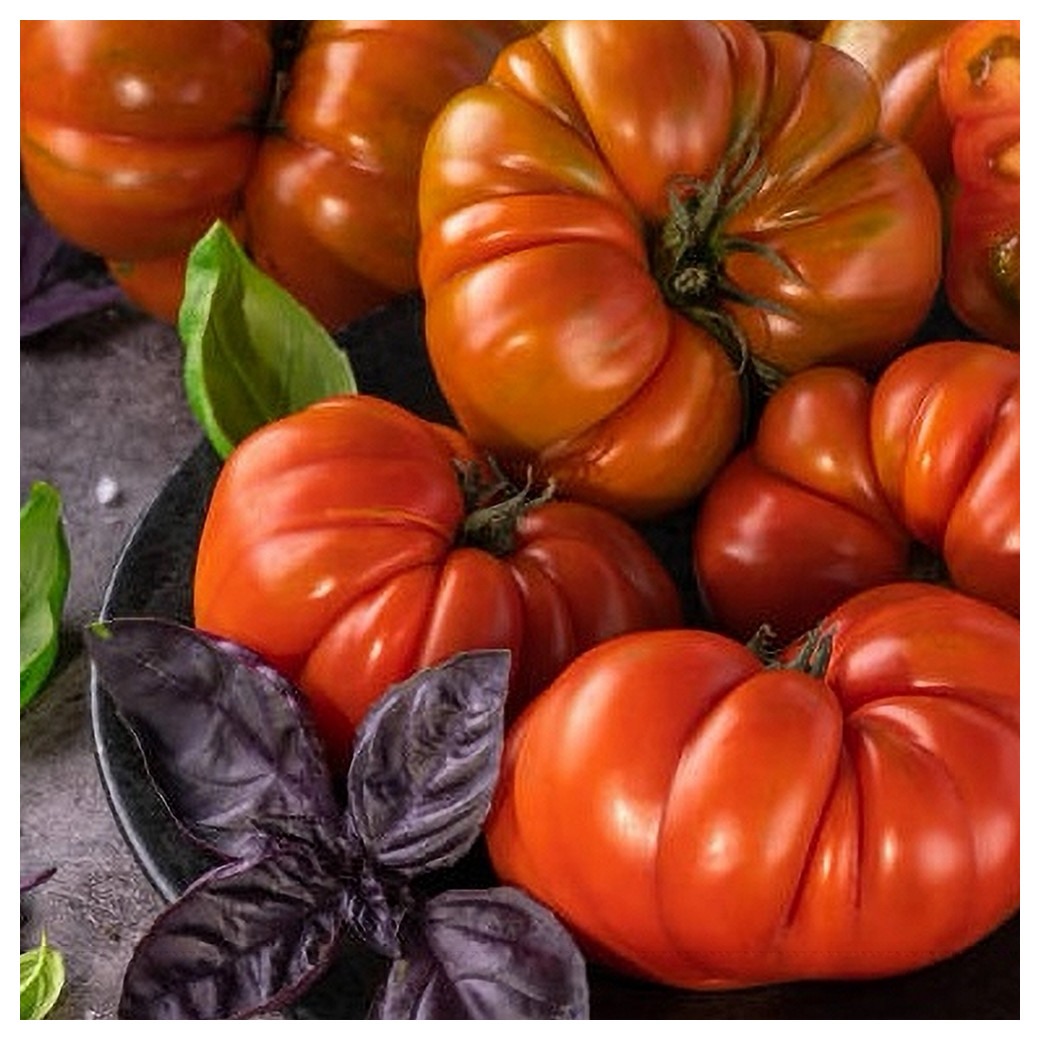 Mix Tomates Bios variétés anciennes - 1Kg