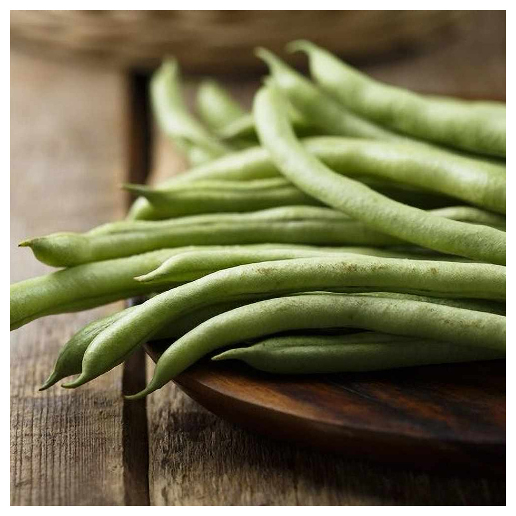 Haricots Verts Bio  (500gr - 1kg)