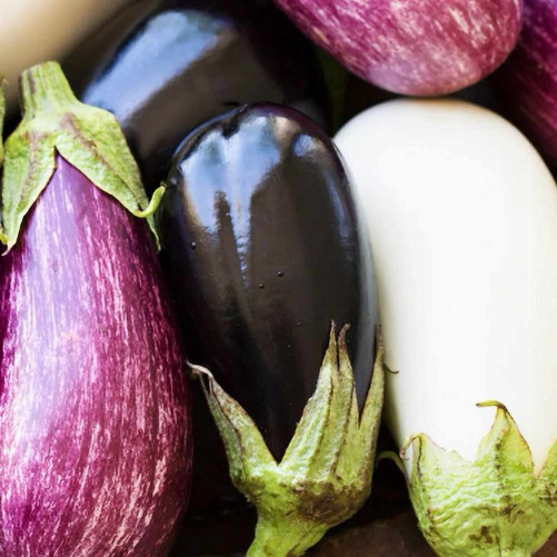 Mix Aubergines Bios...