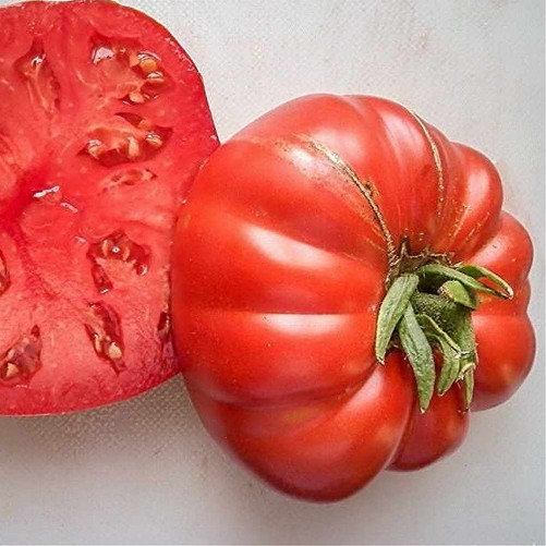 Tomate Bio - Variété Russe...