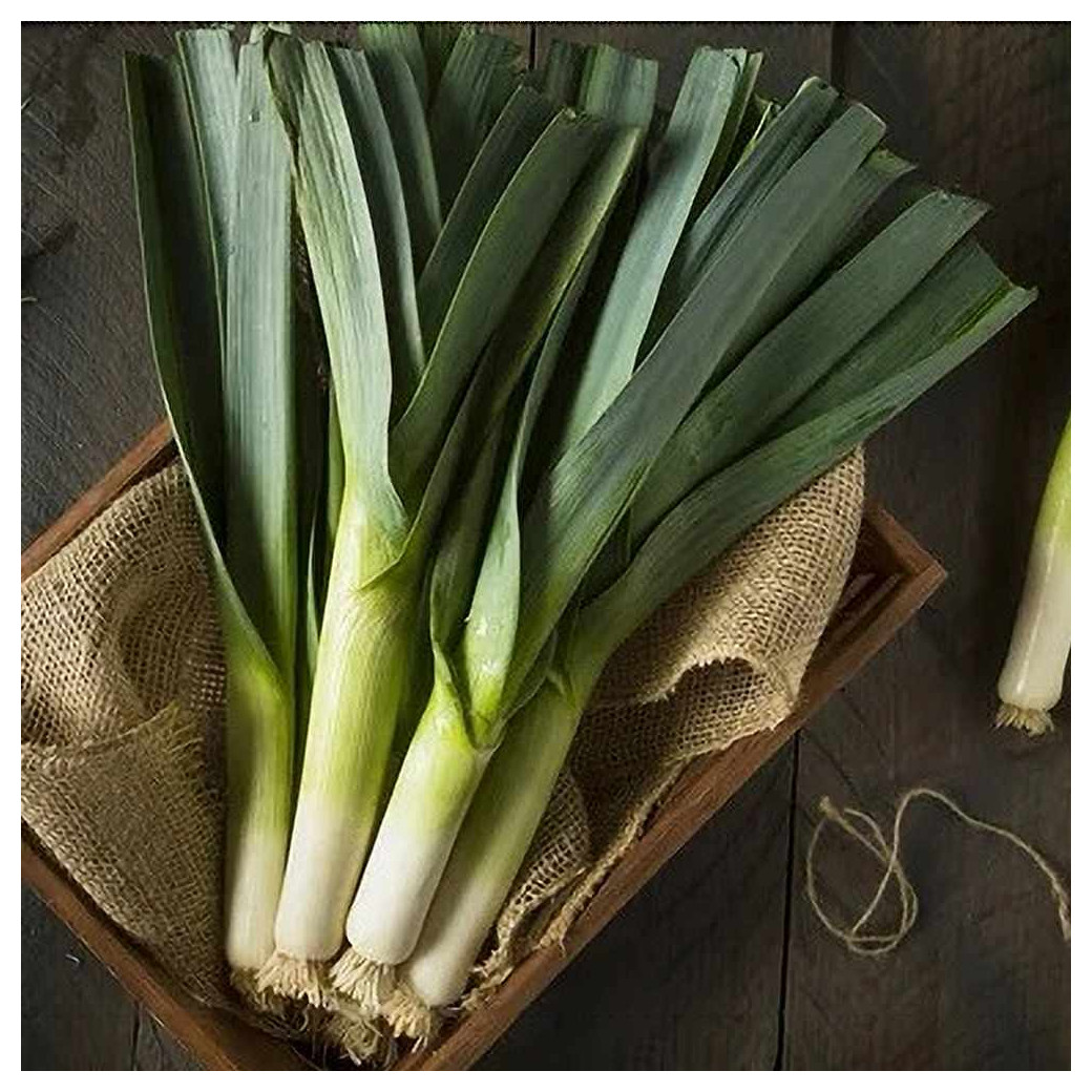 🆕Poireaux Bio - 1Kg