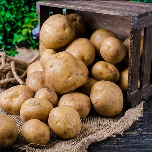 Pomme de Terre - 1Kg