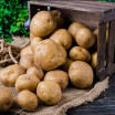 Pomme de Terre - 1Kg