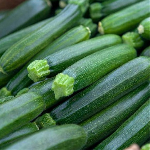 Courgettes - 1Kg