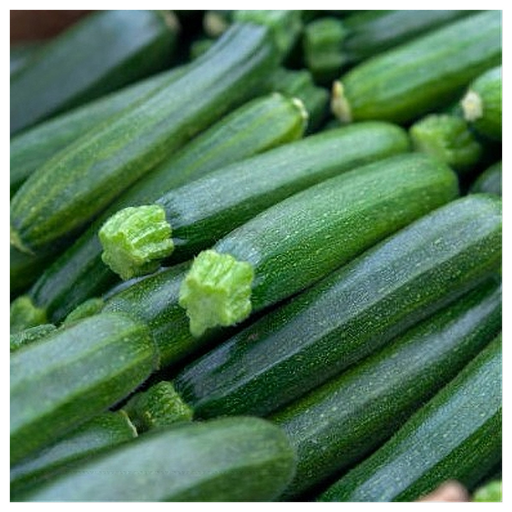 Courgettes - 1Kg
