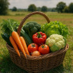 Le Petit Panier de légumes de saison Bio - 5 légumes