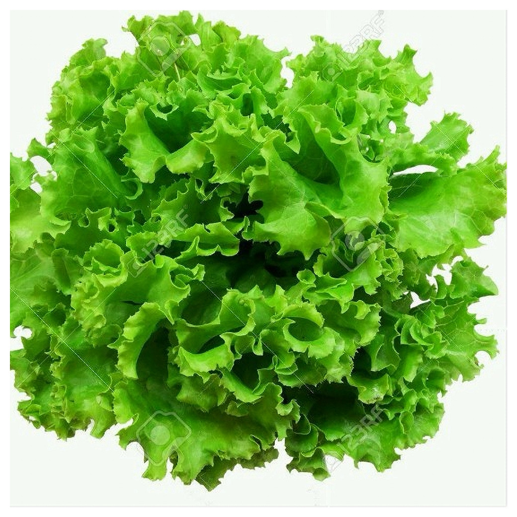 Salade - la pièce