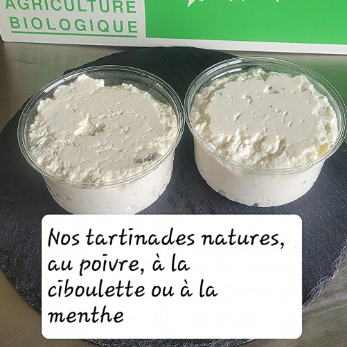 Fromage à tartiner (pot de...