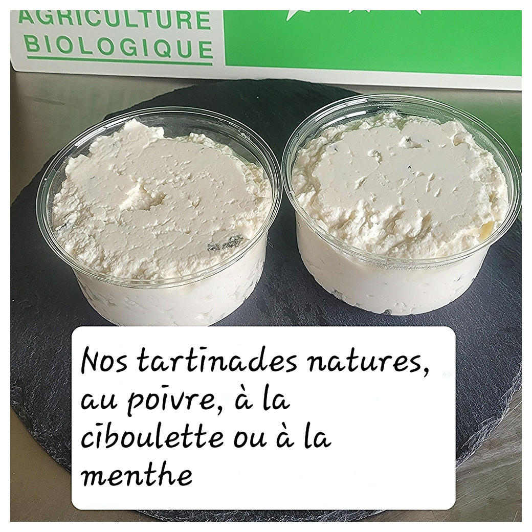 Fromage à tartiner (pot de 300g) - 4 parfums