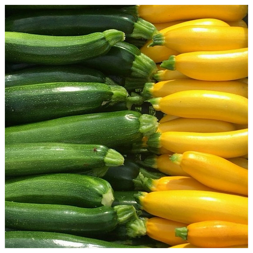 Courgette primeur Bio (1kg) - Mix verte et jaune