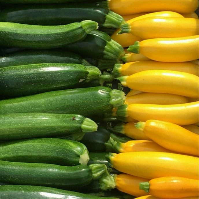 Courgette primeur Bio (1kg) - Mix verte et jaune