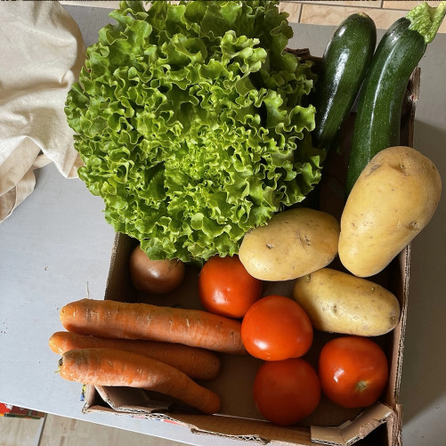 Le Panier Malin de Légumes...