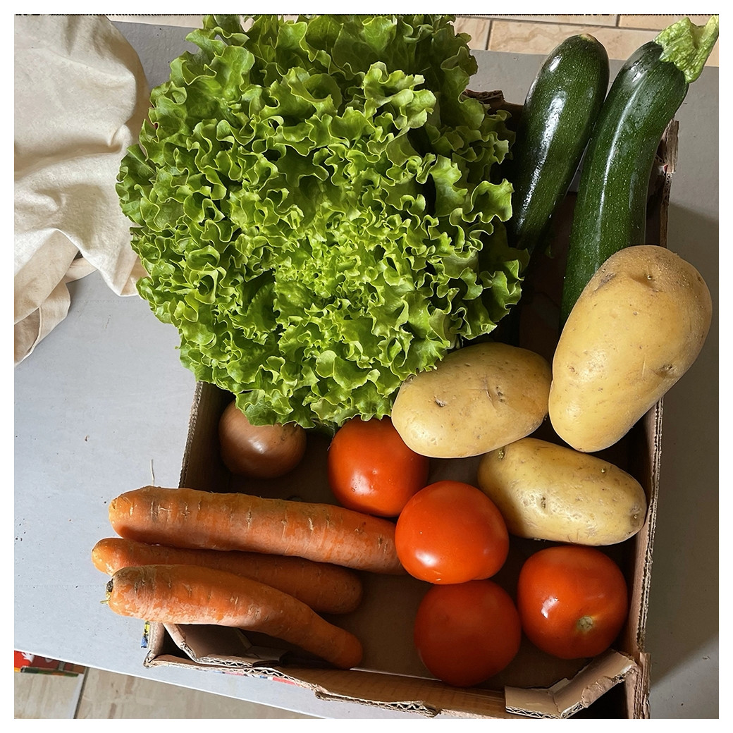 Le Panier Malin de Légumes de saison
