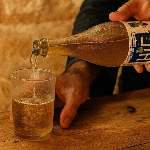 Cidre Brut - BIO (75 cl et...