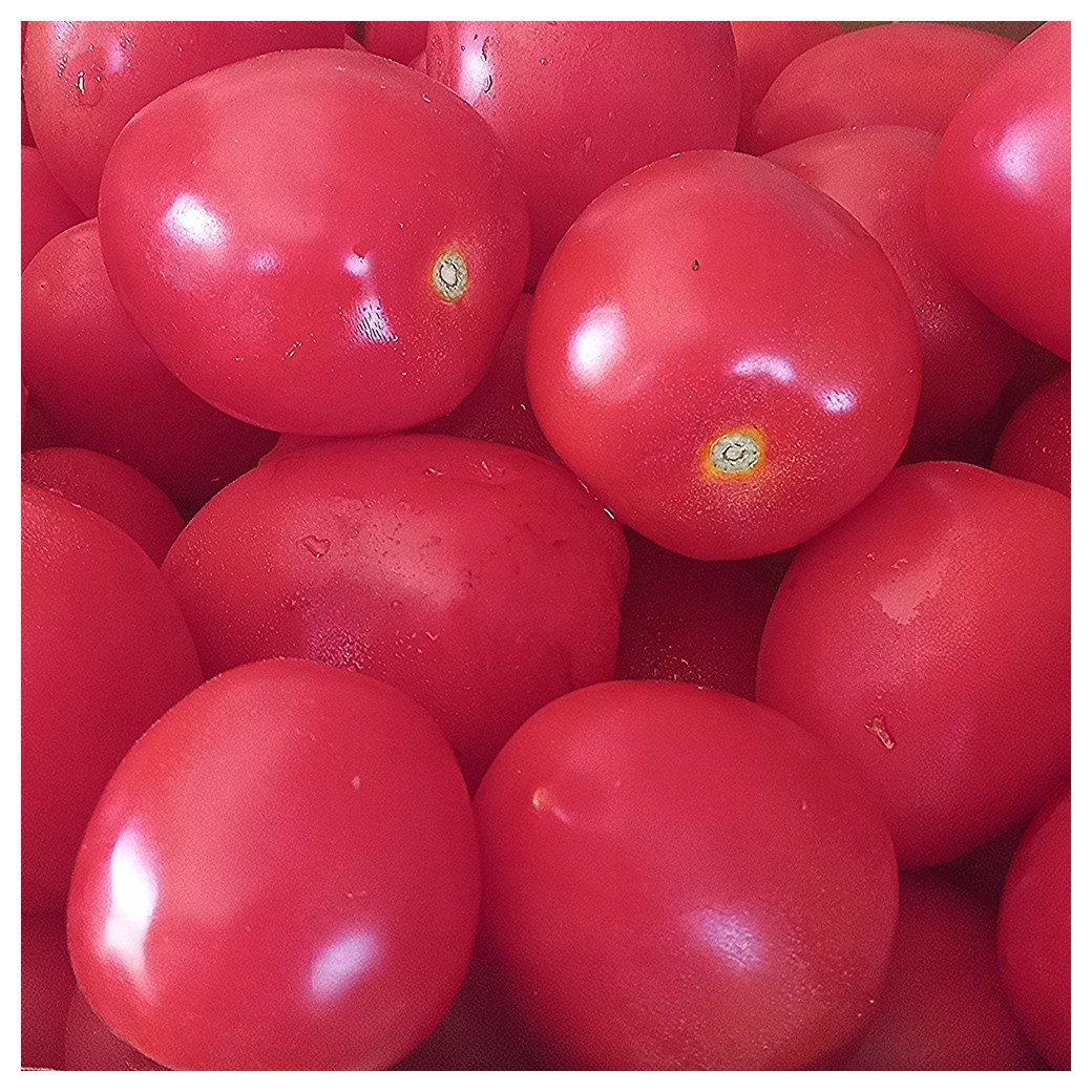 Tomates pleine terre  - 1Kg