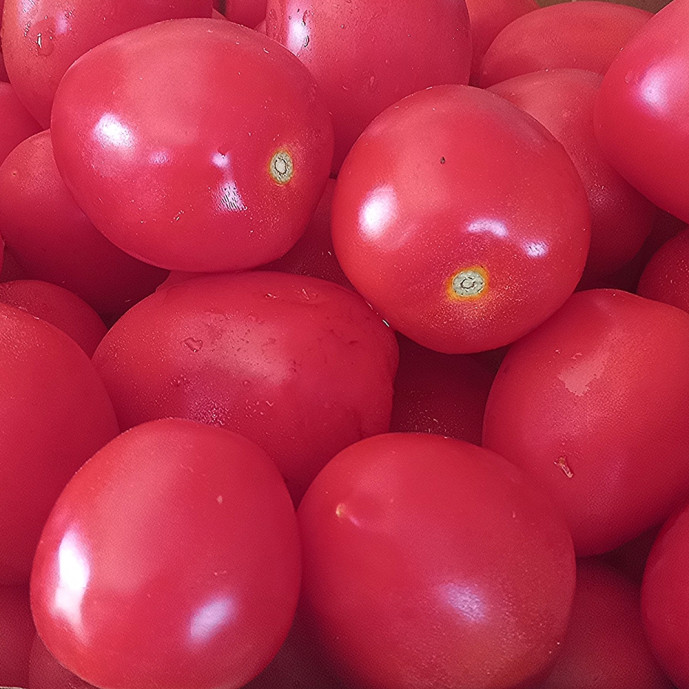 Tomates pleine terre - 1Kg