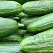 Concombre demi-long - La pièce