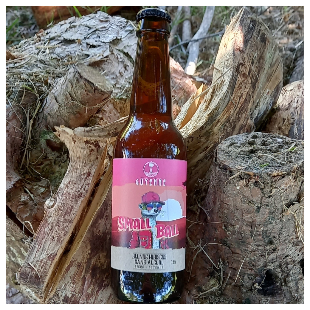 Bière sans alcool - Small Ball  (6 x 33Cl)