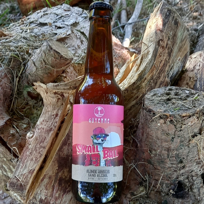 Bière sans alcool - Small Ball (6 x 33Cl)