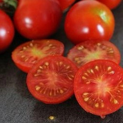 Tomate Précoce de Quimper...