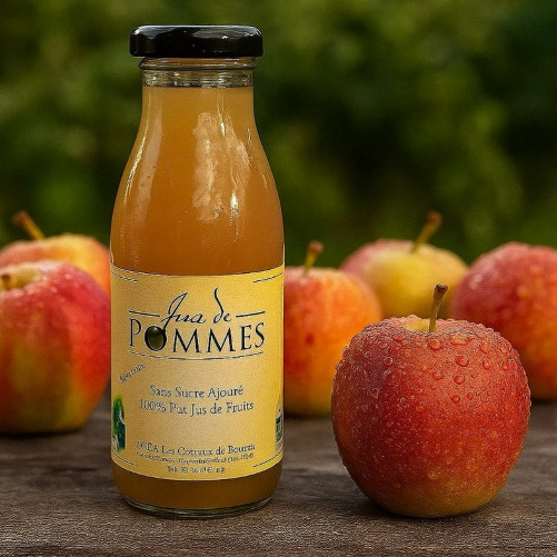 Jus de pommes Bio -...