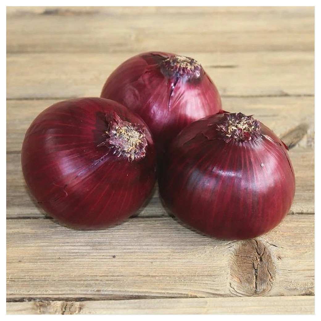 🆕 Oignons Rouges Bio - Vrac (500g - 1Kg)