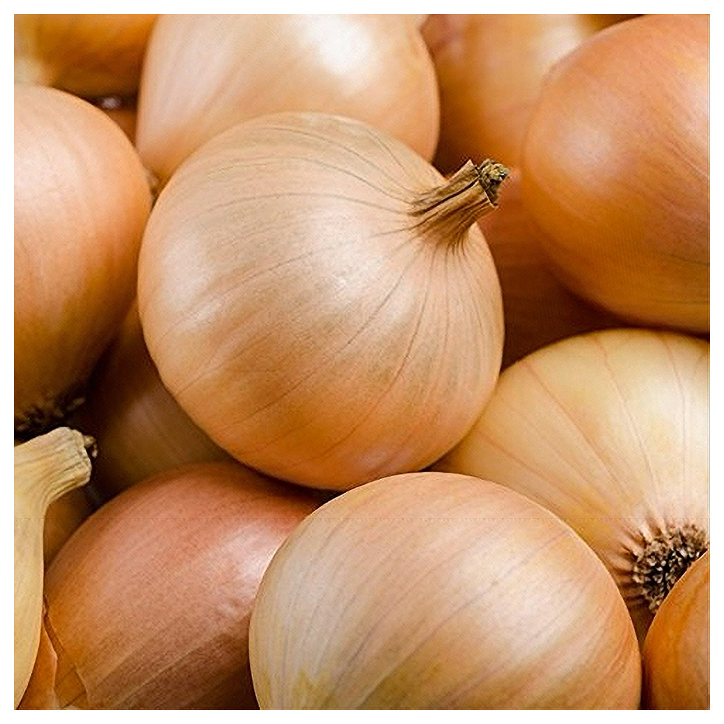 🆕 Oignons jaunes Bio - Vrac (500g - 1Kg)