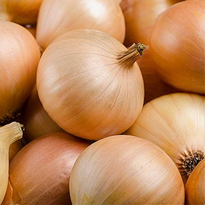 🆕 Oignons jaunes Bio - Vrac (500g - 1Kg)