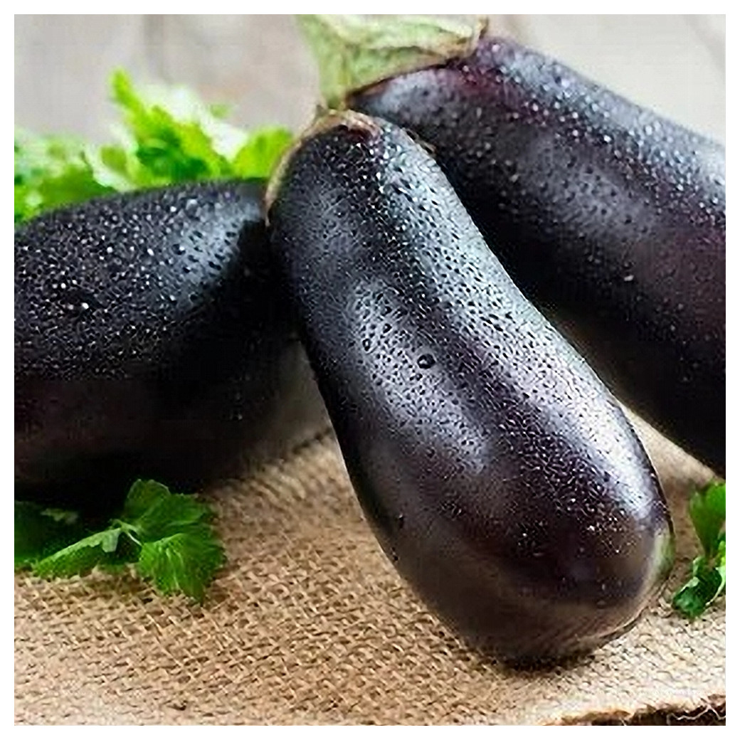 Aubergines bio - 1Kg