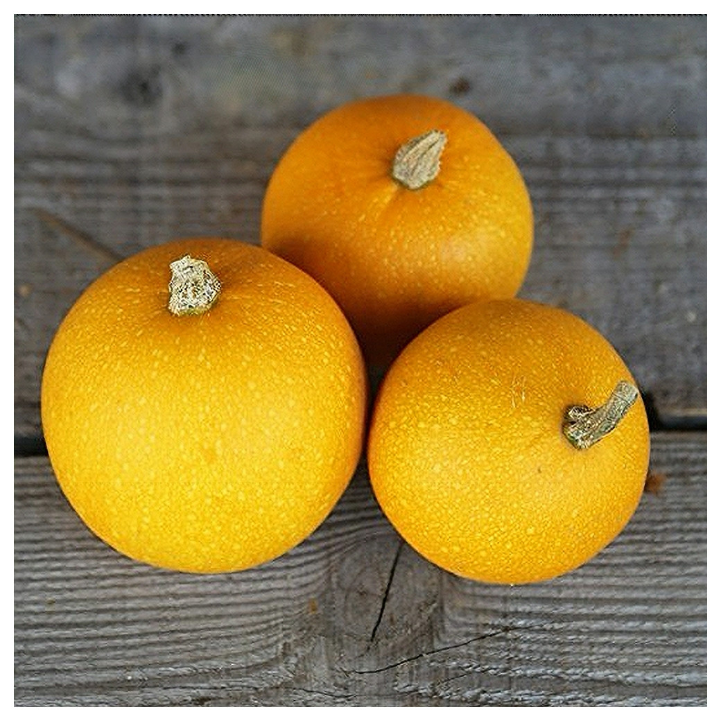 🆕Courge Pomme D'or Bio - (Env. 1Kg)