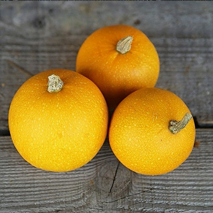 🆕Courge Pomme D'or Bio - (Env. 1Kg)