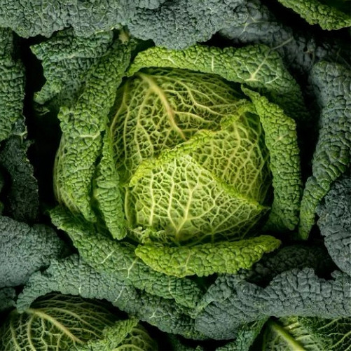 🆕Chou frisé - (Env. 1Kg ou...