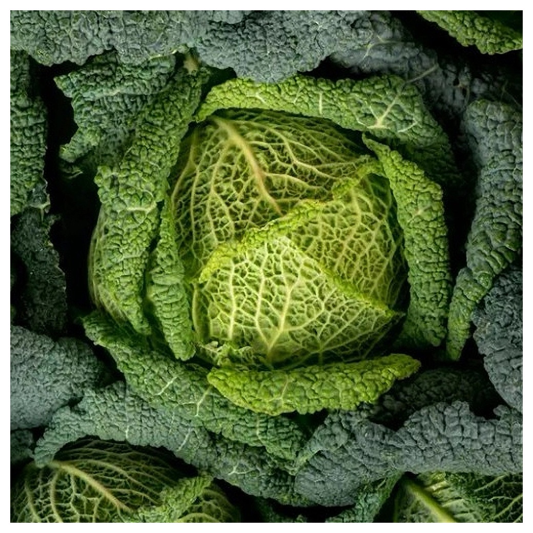 🆕Chou frisé - (Env. 1Kg ou portion)