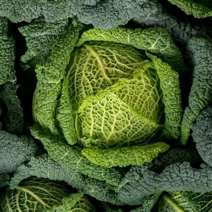 🆕Chou frisé - (Env. 1Kg ou portion)