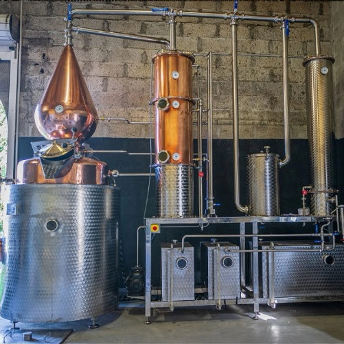 🆕Vermouth blanc 17° - 75cl