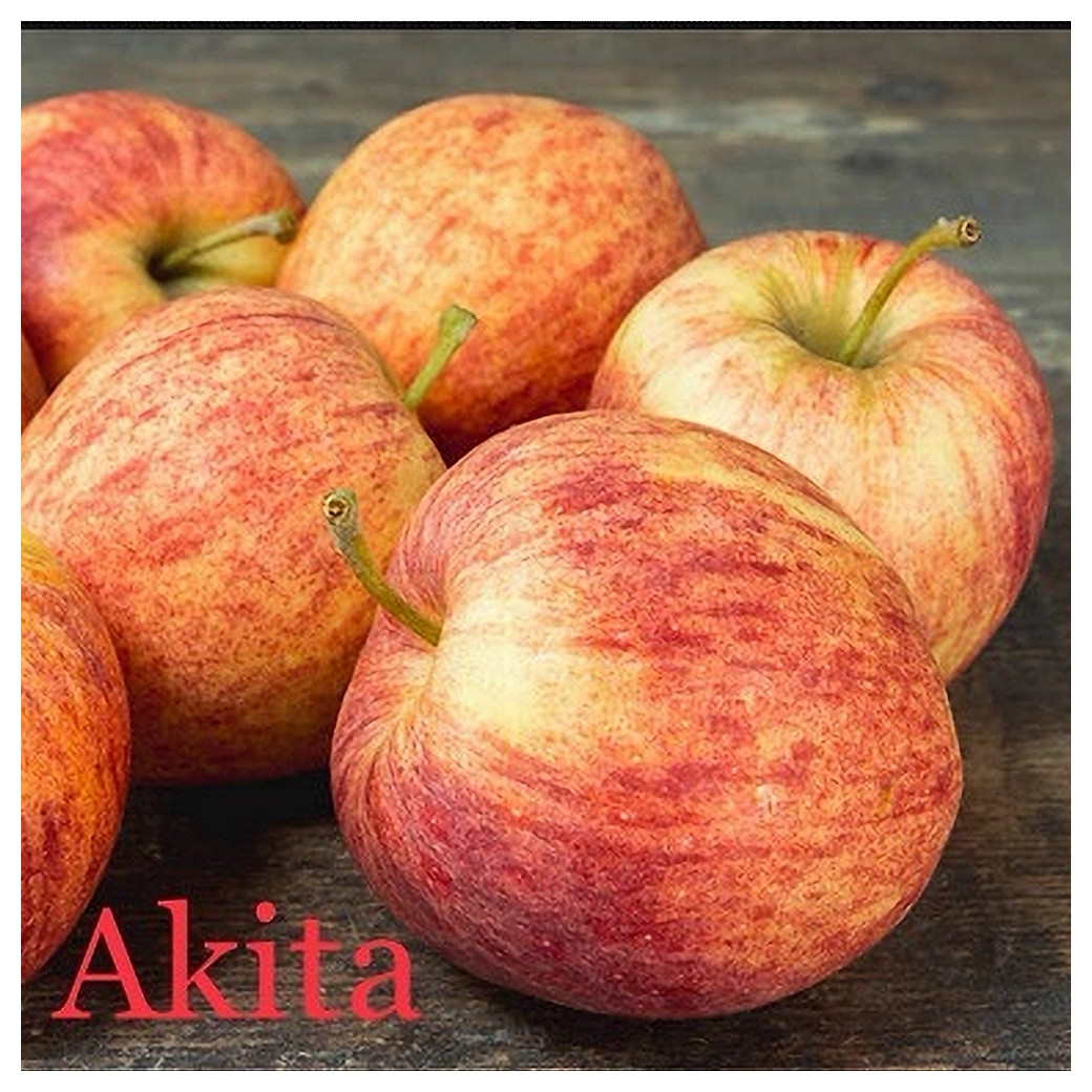 L’AKITA, pommes Bio (sac de 2 ou 4kg)