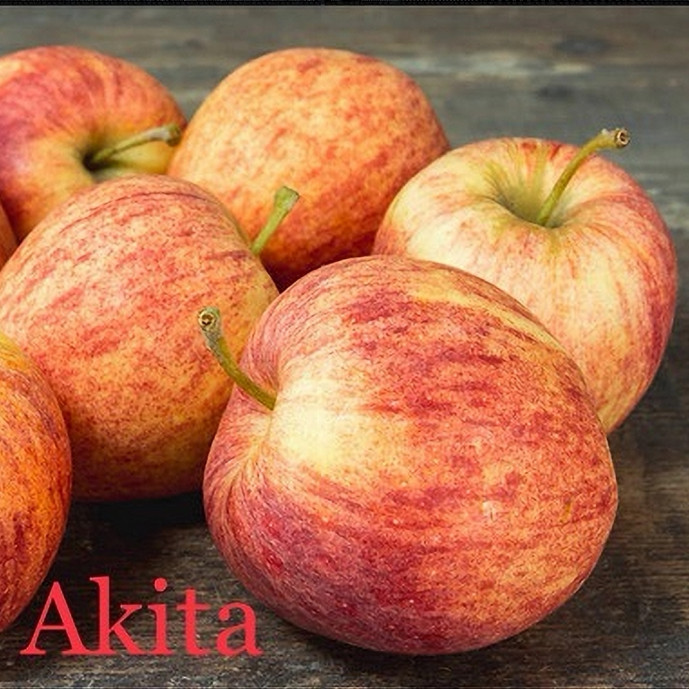 L’AKITA, pommes Bio (sac de 2 ou 4kg)